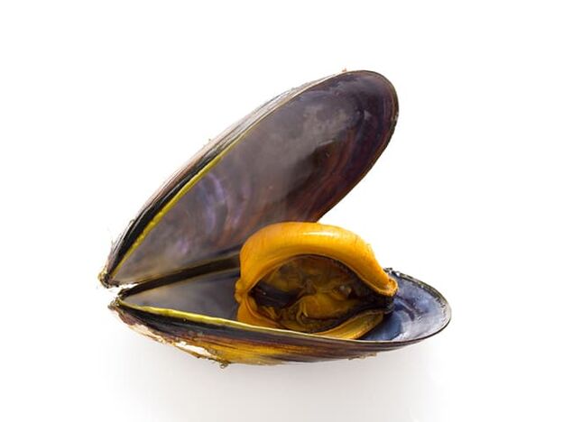 Due to high zinc content, mussels improve sperm quality