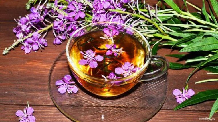 A decoction of willow herb leaves and flowers for the treatment of male diseases